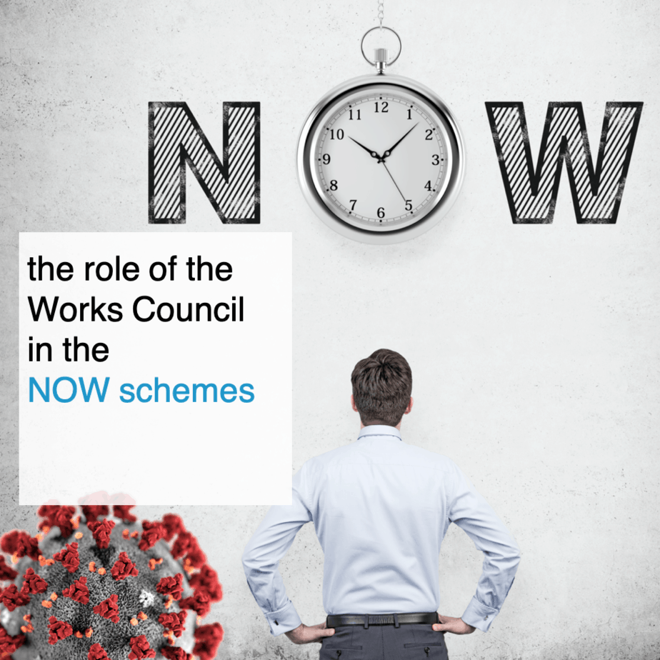 the role of the Works Council in the NOW schemes